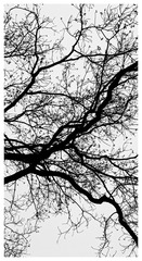 7784072B-21F8-4F93-B5A3-8C34149B04FC/L0/001