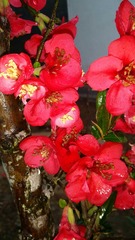 9ABABAE5-B080-44F8-82BD-8405439F0F23/L0/001