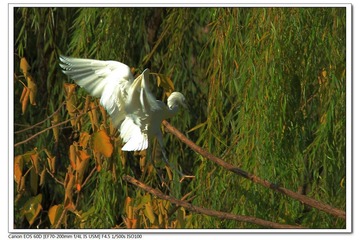 EOS-60D-8.jpg