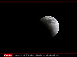 EOS-60D-33.jpg