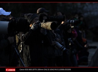 EOS-60D-36.jpg