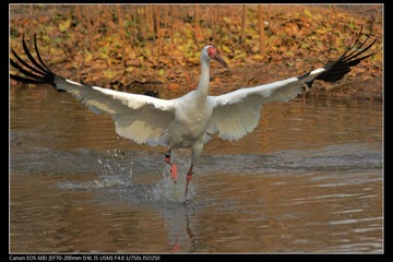 EOS-60D-27.jpg