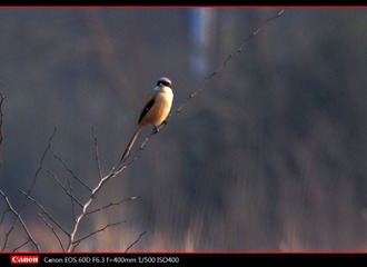 杭州-65.jpg