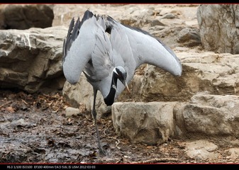 PKYMY2012-03.jpg