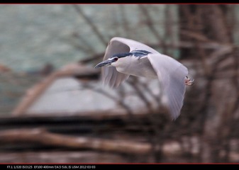 PKYMY2012-04.jpg
