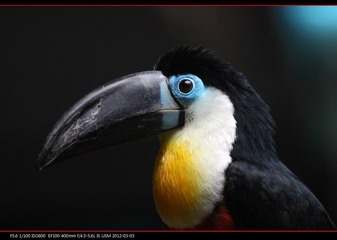 PKYMY2012-06.jpg