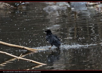 PKYMY2012-08.jpg