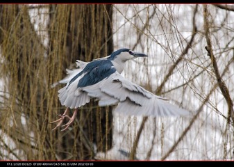 PKYMY2012-09.jpg