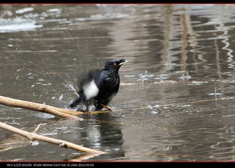 PKYMY2012-11.jpg