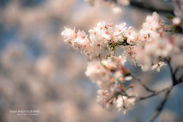 DSC_0424 a.jpg