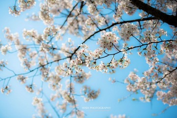 DSC_0461 a.jpg