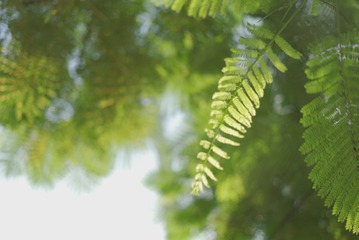 Optional("5E77B52F-B729-4E9F-9F45-B1E673008FEC/L0/001")
