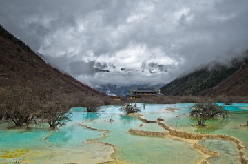 _YIP8547