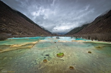 _YIP8548