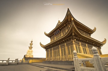 _YIP8466