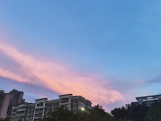 13310