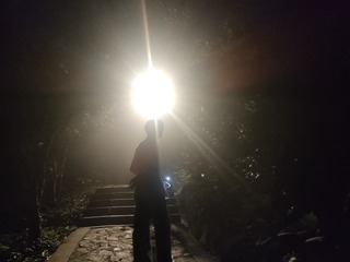 1000152682