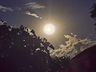 511229