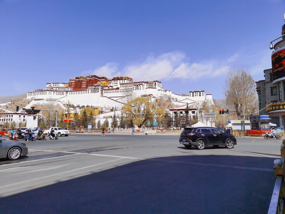 布达拉宫远景 - 君子如龙 - 图虫