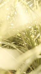 B8CDDD79-CDD4-4351-A0CF-8CCF9C0F725F/L0/001