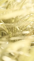 EE80E7D4-4AFE-451C-92BA-64798C651C04/L0/001