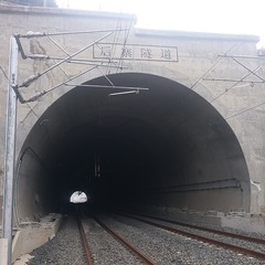 1019