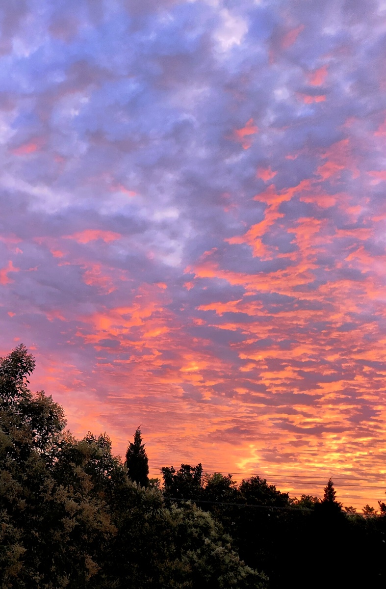 十里嫁妆火烧云行也思君坐也思君78