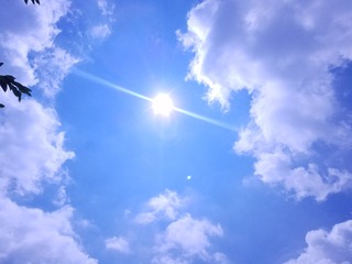 B0AE6F56-A7F0-4756-BB45-93389B2B1702/L0/001