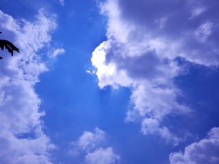 3AA4D1F2-C2A7-4997-84DC-89ED5F1849E0/L0/001