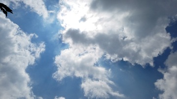 CEA98856-B338-4EB3-8BDC-89759FE23499/L0/001