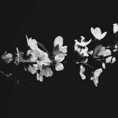 1120092