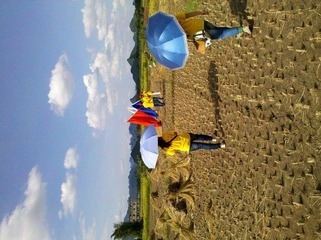 2012-07-07_16-18-57_648.jpg