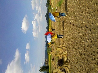 2012-07-07_16-19-02_773.jpg