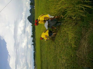 2012-07-07_16-27-43_984.jpg