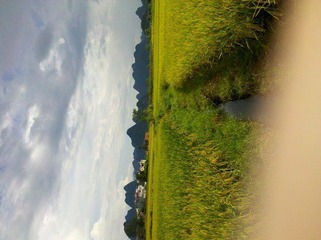 2012-07-07_16-39-32_968.jpg