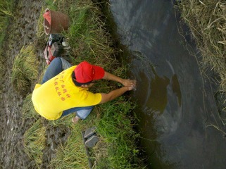 2012-07-07_16-51-36_774.jpg