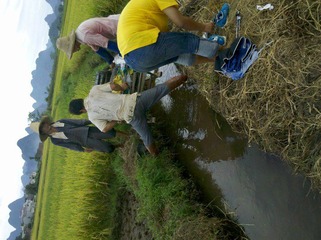 2012-07-07_16-57-54_212.jpg