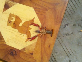 2012-07-08_11-59-44_20.jpg