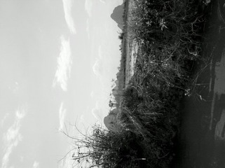 2012-07-09_14-51-40_327.jpg