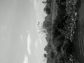 2012-07-09_14-51-48_570.jpg