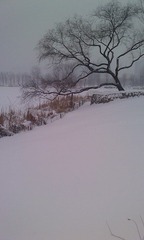 2010 SNOW