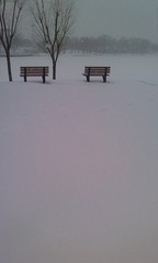2010 SNOW