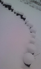 2010 SNOW
