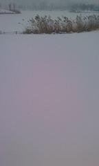 2010 SNOW