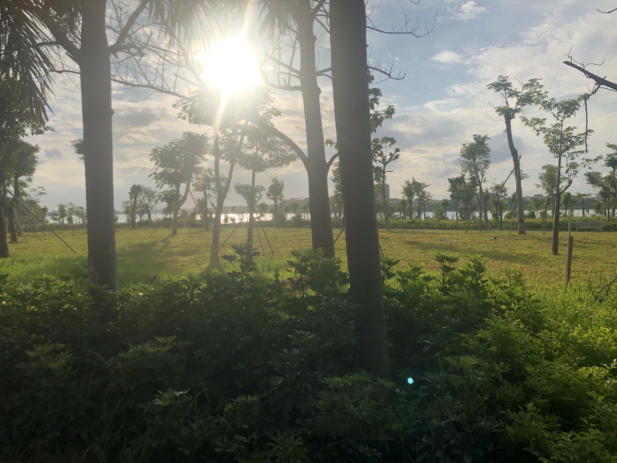 雨后的太阳光芒 - applesy11 - 图虫