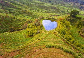 DJI_0163a
