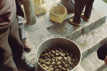 Untitled-9.tif.jpg