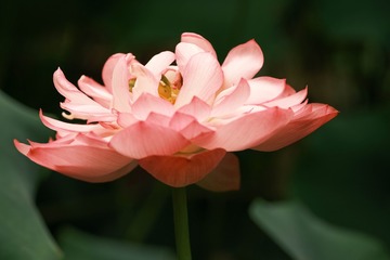 11202