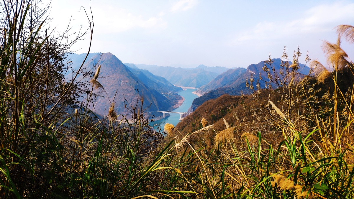 山里风景清风随意