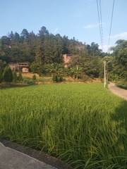 2605461